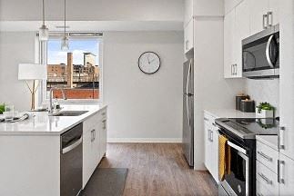 Quartz kitchen countertops 